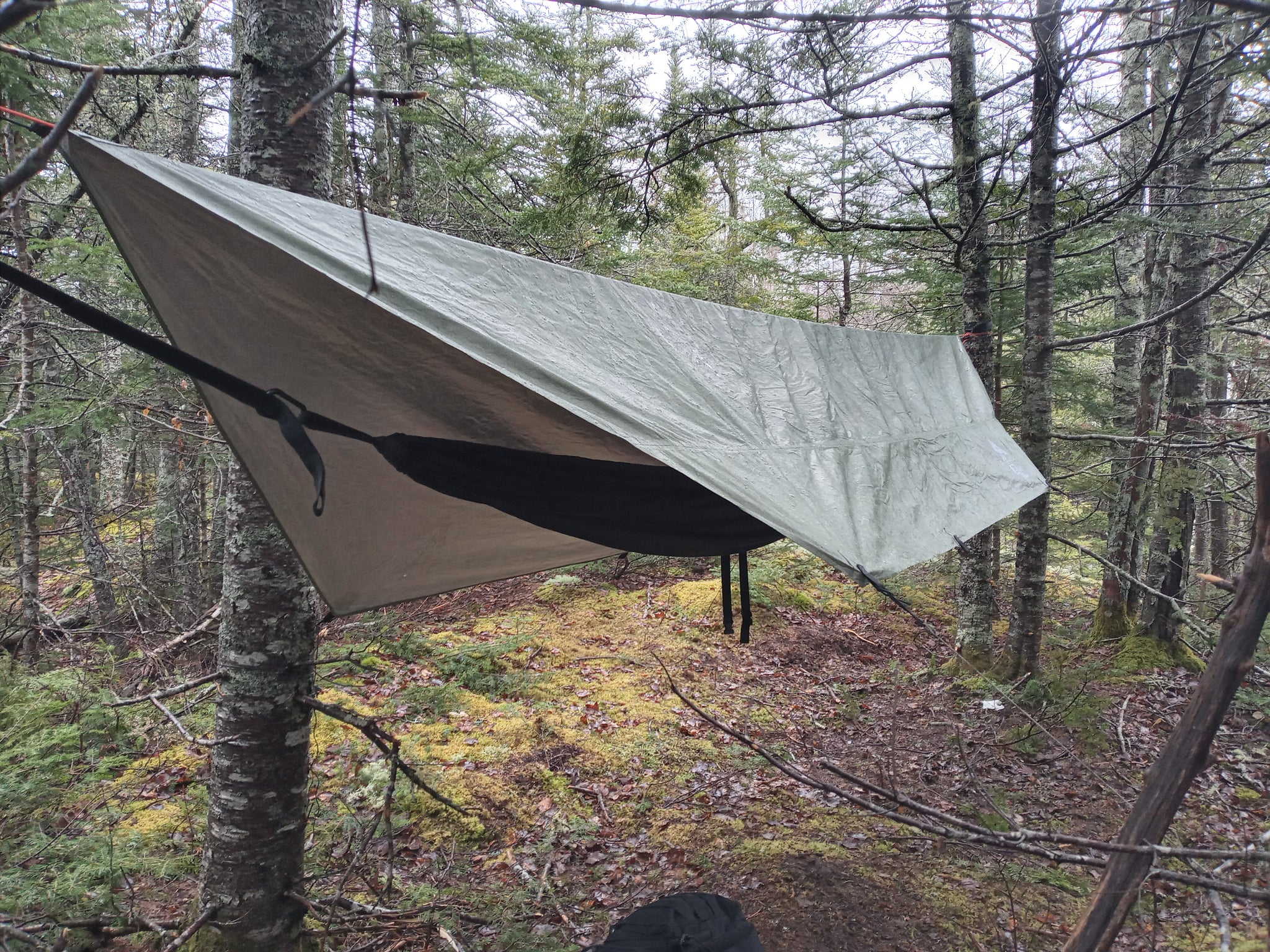 reflex tarp Reflex Survival Shelter