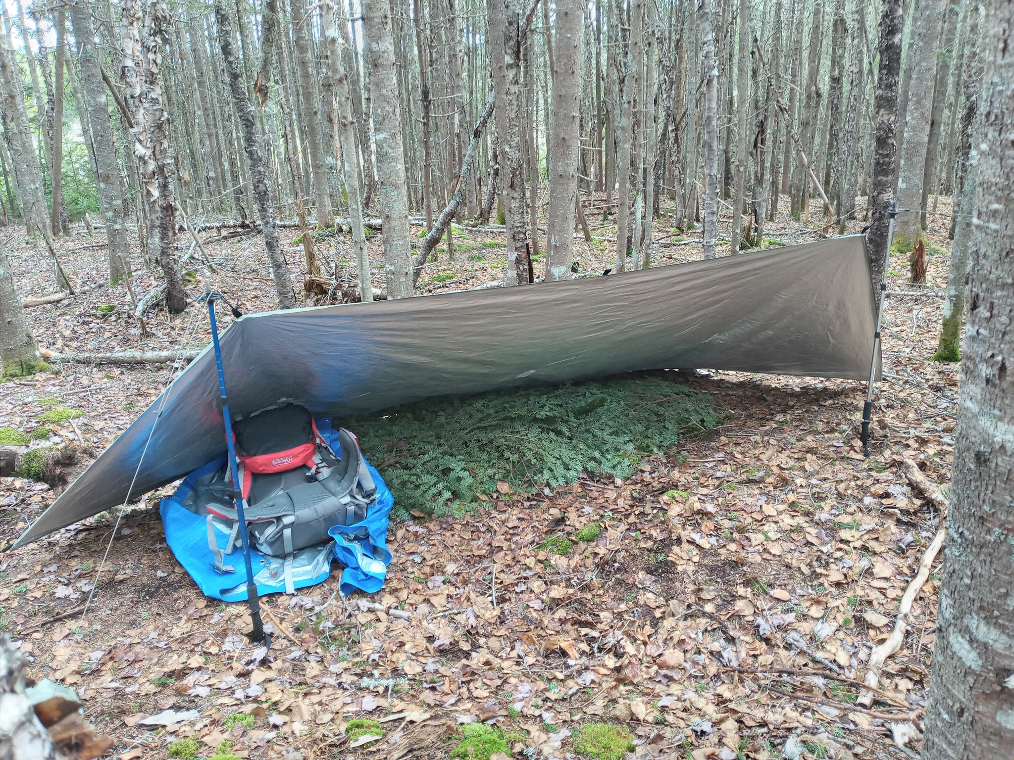 survival tent Reflex Survival Shelter