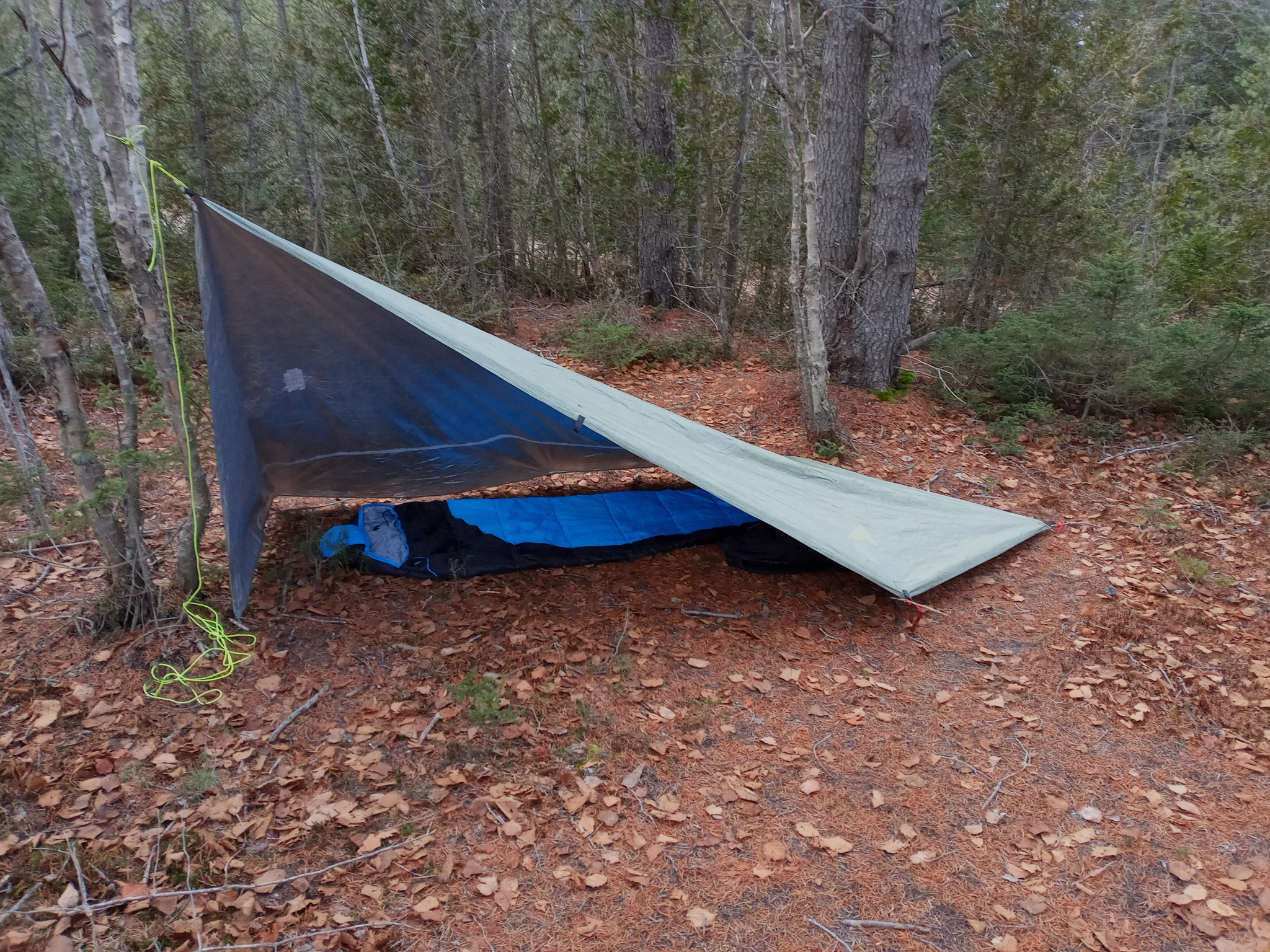 reflex tarp Reflex Survival Shelter